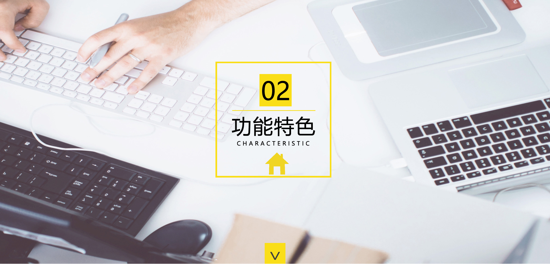 功能特色